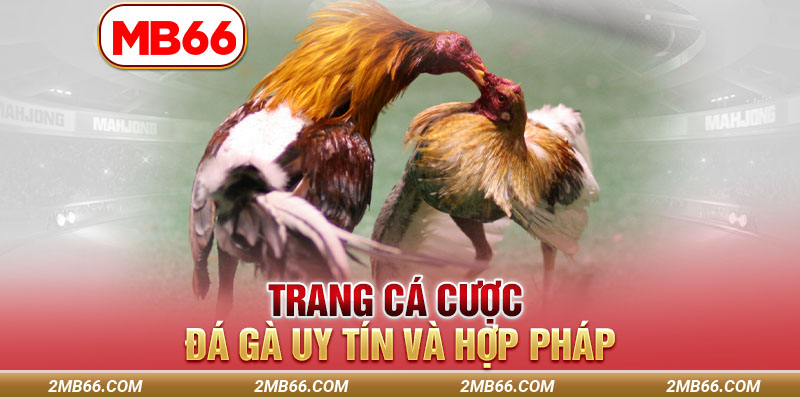 Trang cá cược đá gà uy tín và hợp pháp