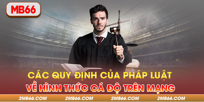 Các quy định của pháp luật về hình thức cá độ trên mạng