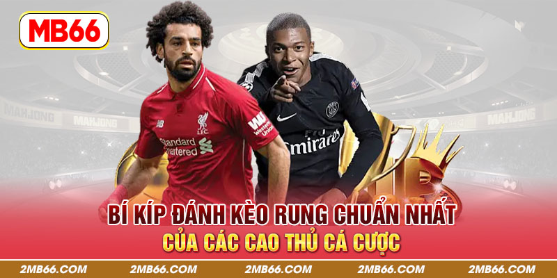 Bí kíp đánh kèo rung chuẩn nhất của các cao thủ cá cược