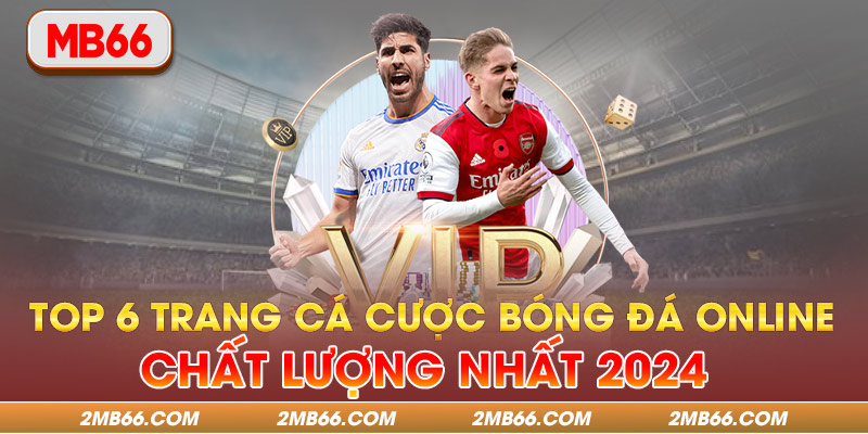 Top 6 Trang Cá Cược Bóng Đá Online Chất Lượng Nhất 2024